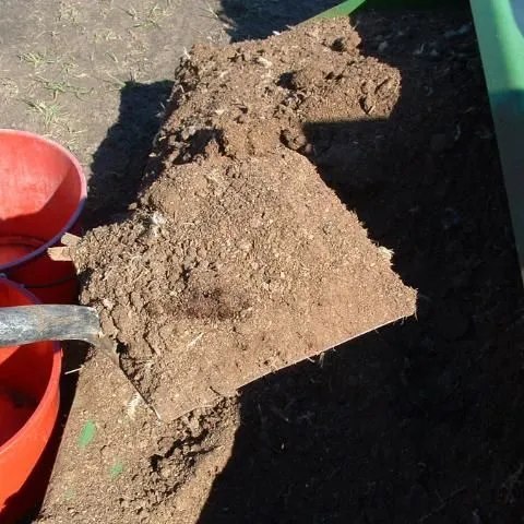 thumbnail for publication: Using Composted Poultry Manure (Litter) in Mulched Vegetable Production